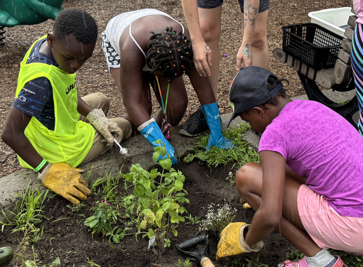 Des enfants qui jardinent